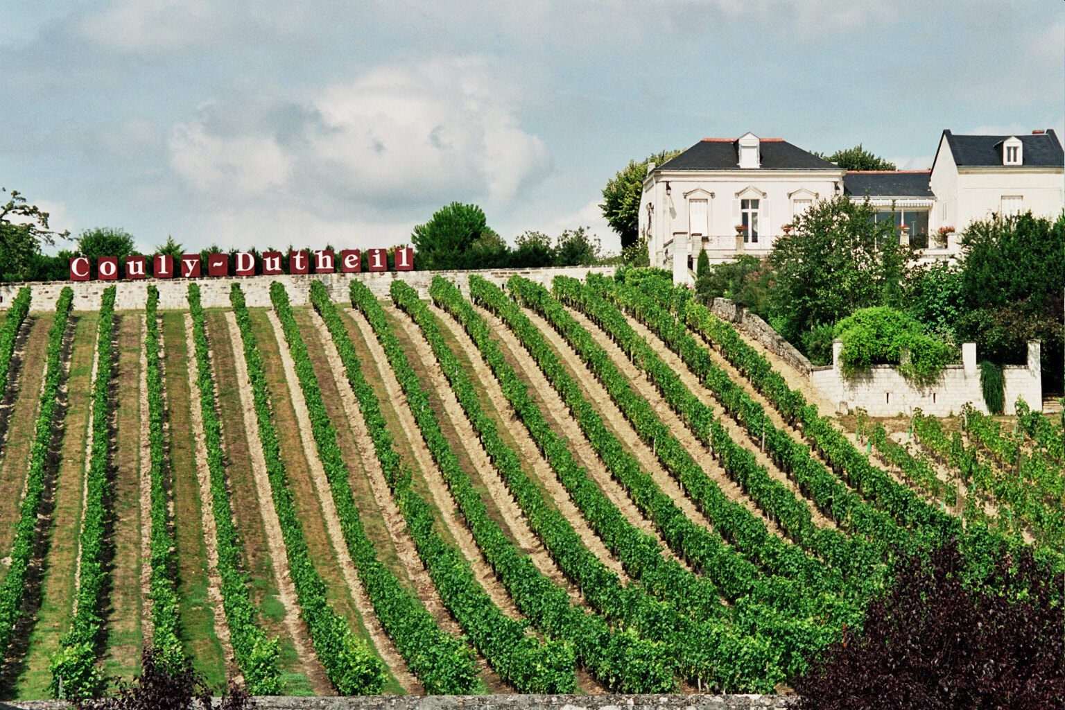 Loire vineyard и сезонные маршруты