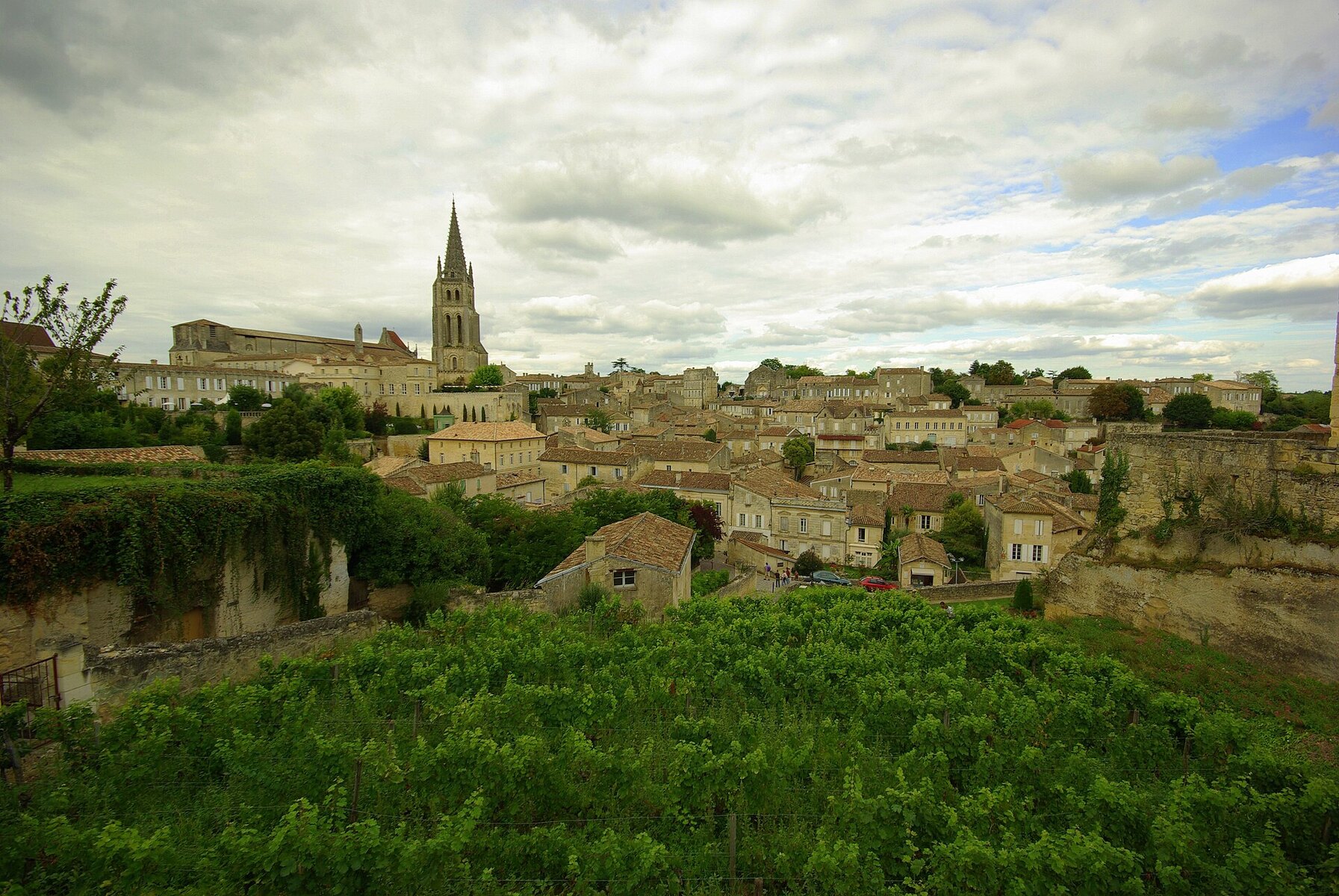 Saint-Emilion vineyard