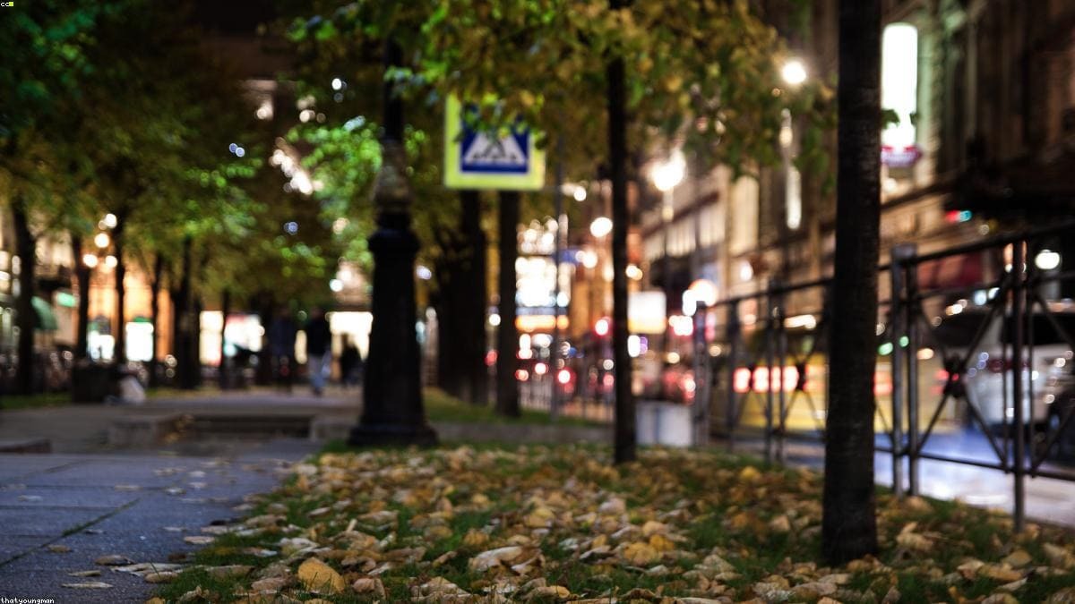 Маврикий: mauritius:Port Louis, рынок и Pamplemousses