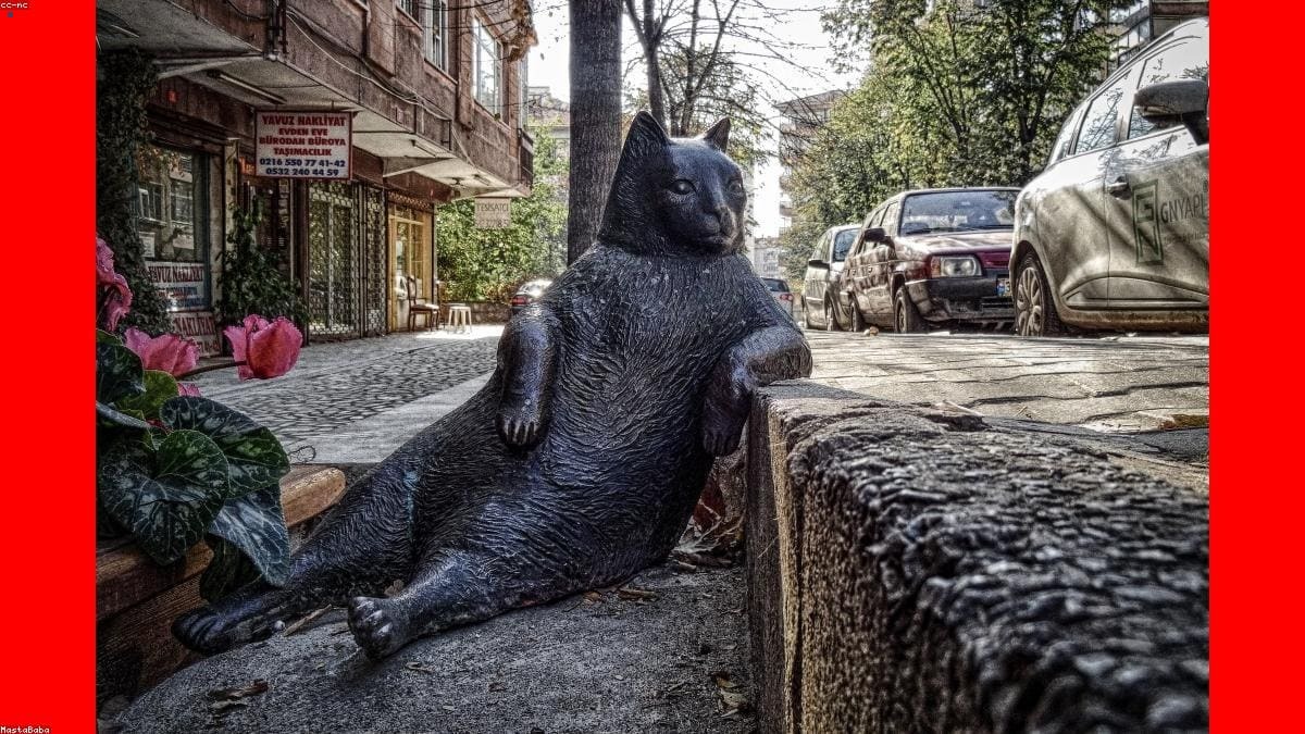 Эгейское побережье: Ограничения и запреты