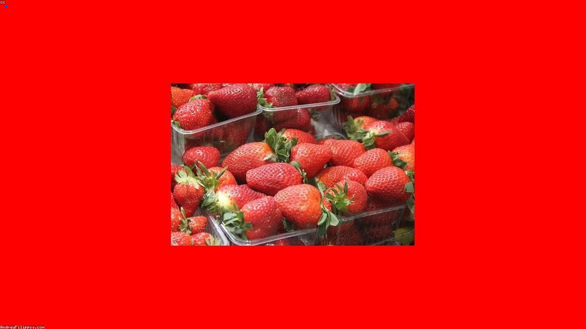 Москва: Местная кухня и бюджет на месте