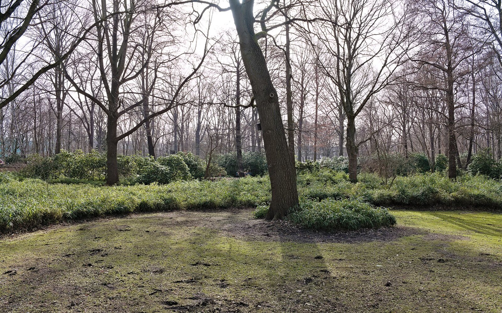 Tiergarten для прогулок в мягкий сезон