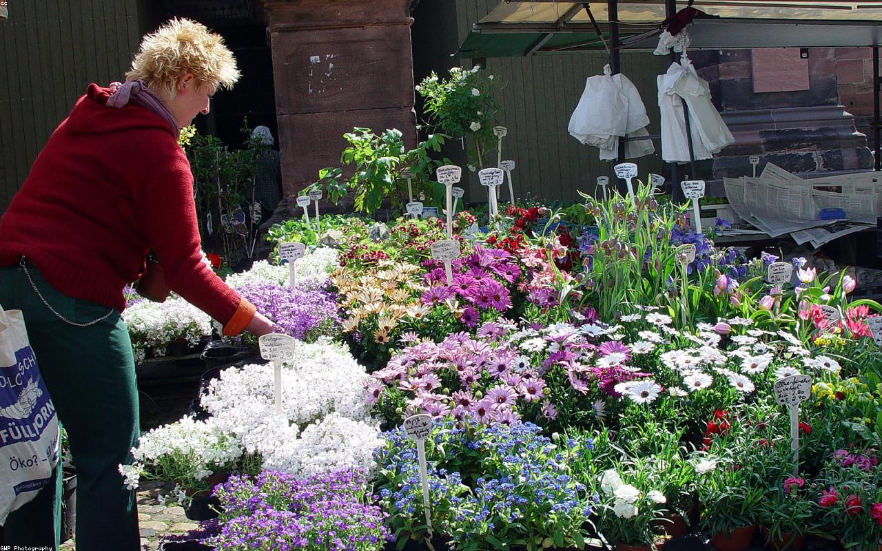 Freiburg market и локальные расходы в EUR