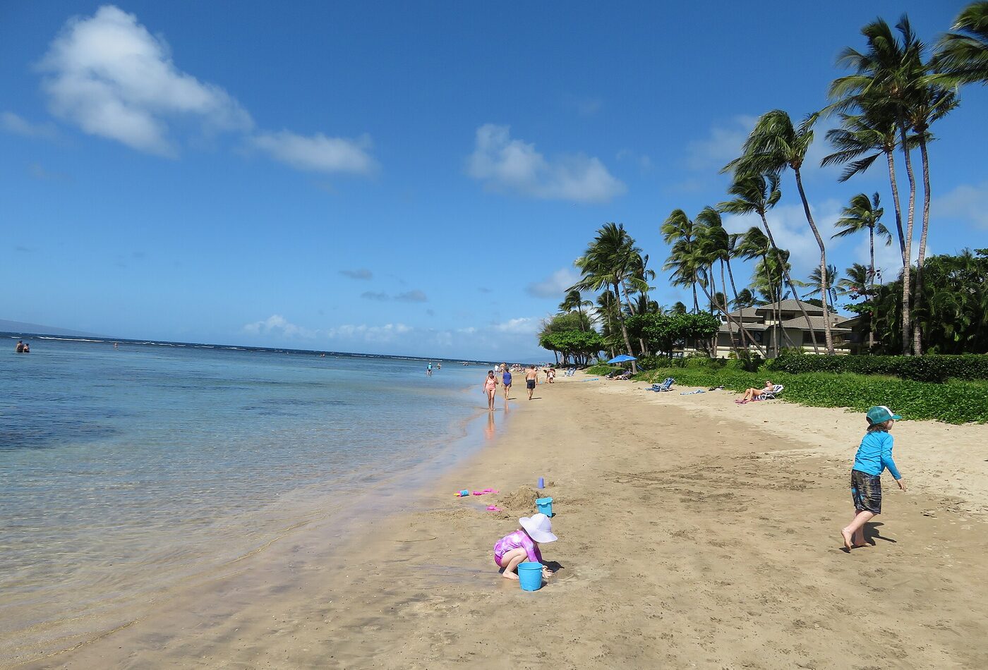 Maui coast and season planning Hawaii