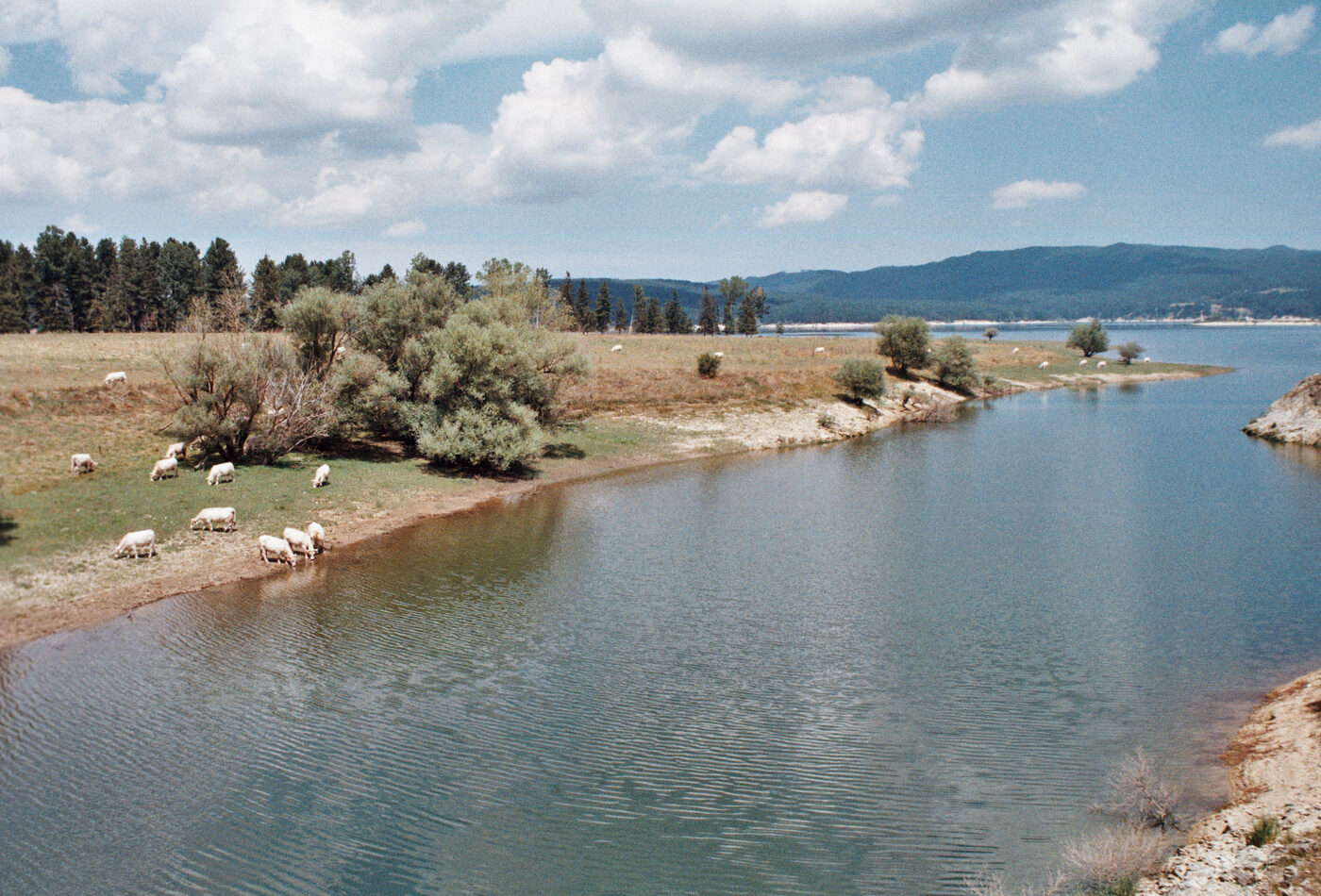 Sila National Park для горного контраста Calabria
