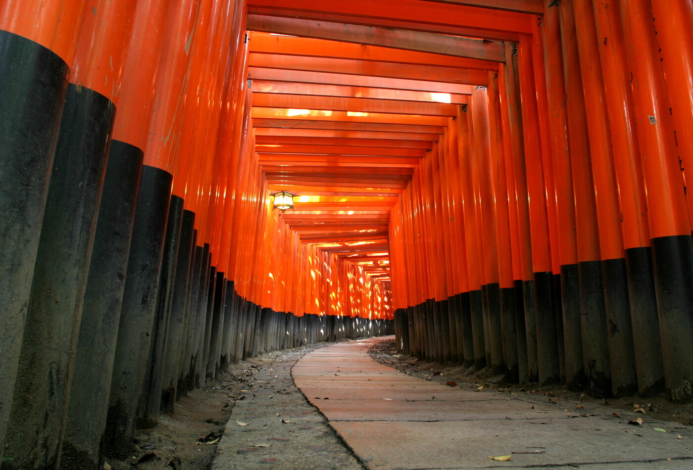 Fushimi Inari torii path Kyoto
