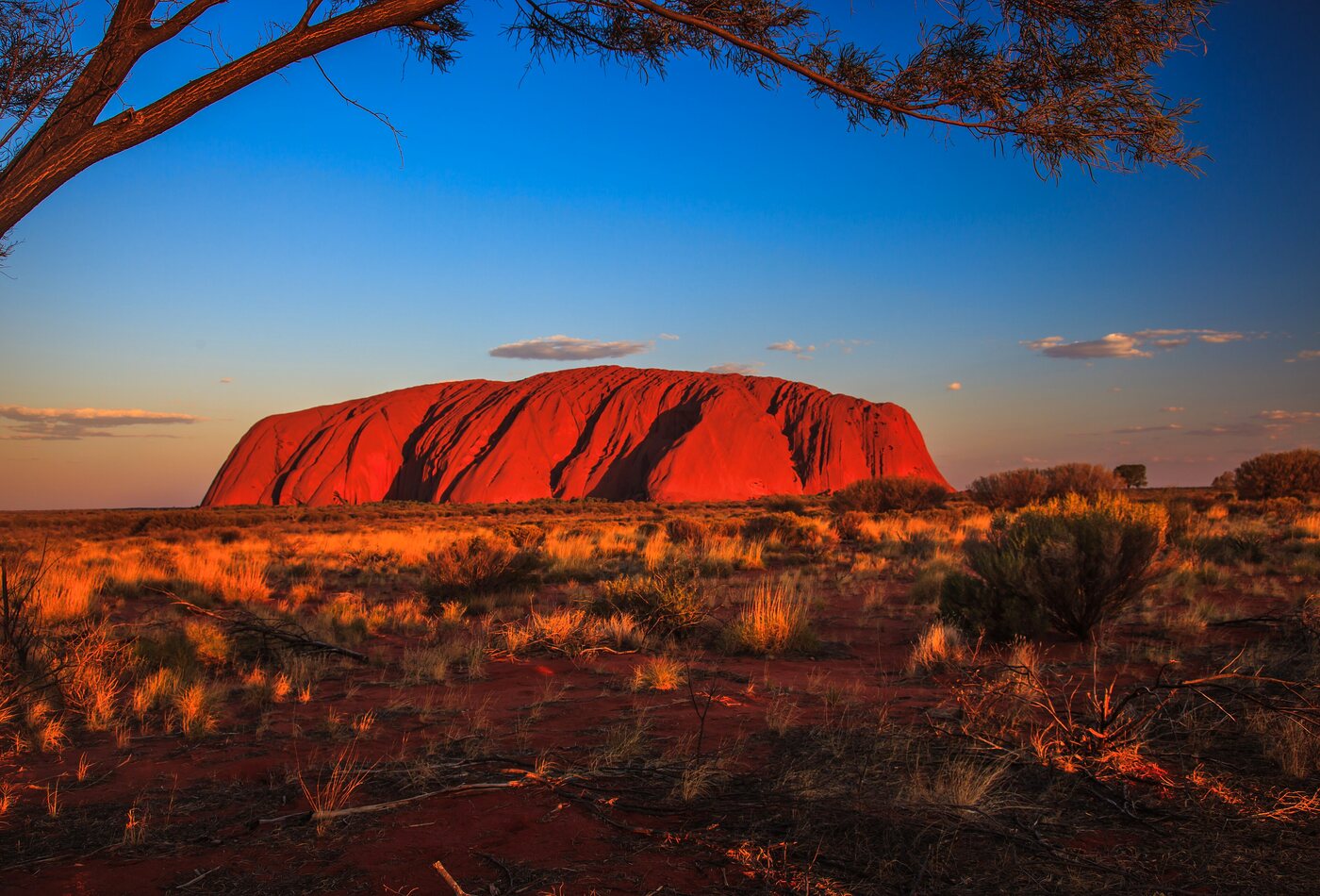 Uluru Australia outback