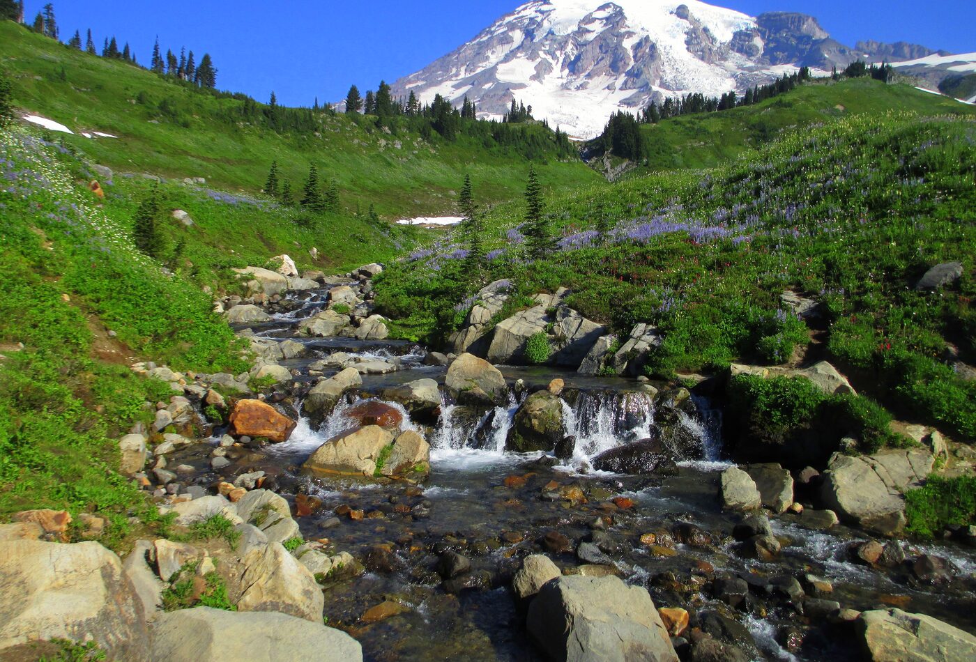 Mount Rainier Washington