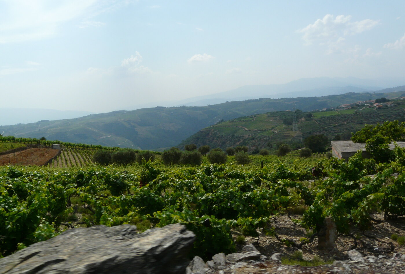Douro Valley как сезонный wine and автомаршрут block Portugal