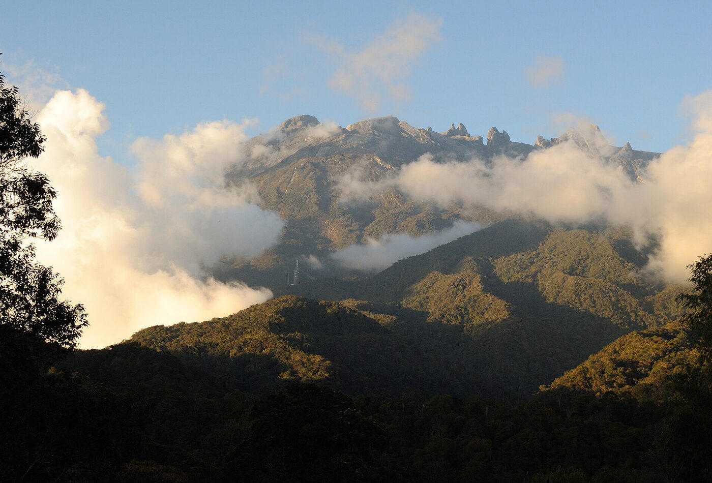 Borneo rainforest и Sabah/Sarawak extension