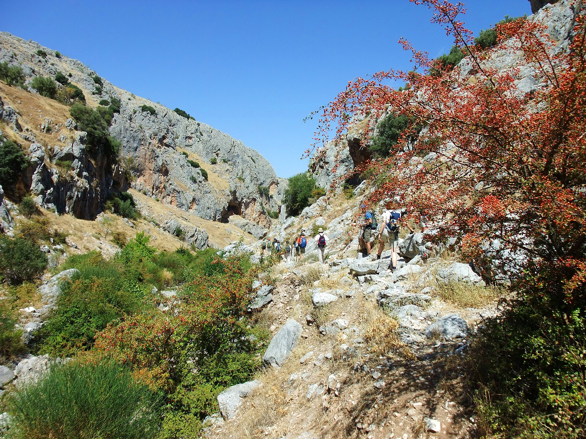 Летний ландшафт Andalusia и риск дневной жары