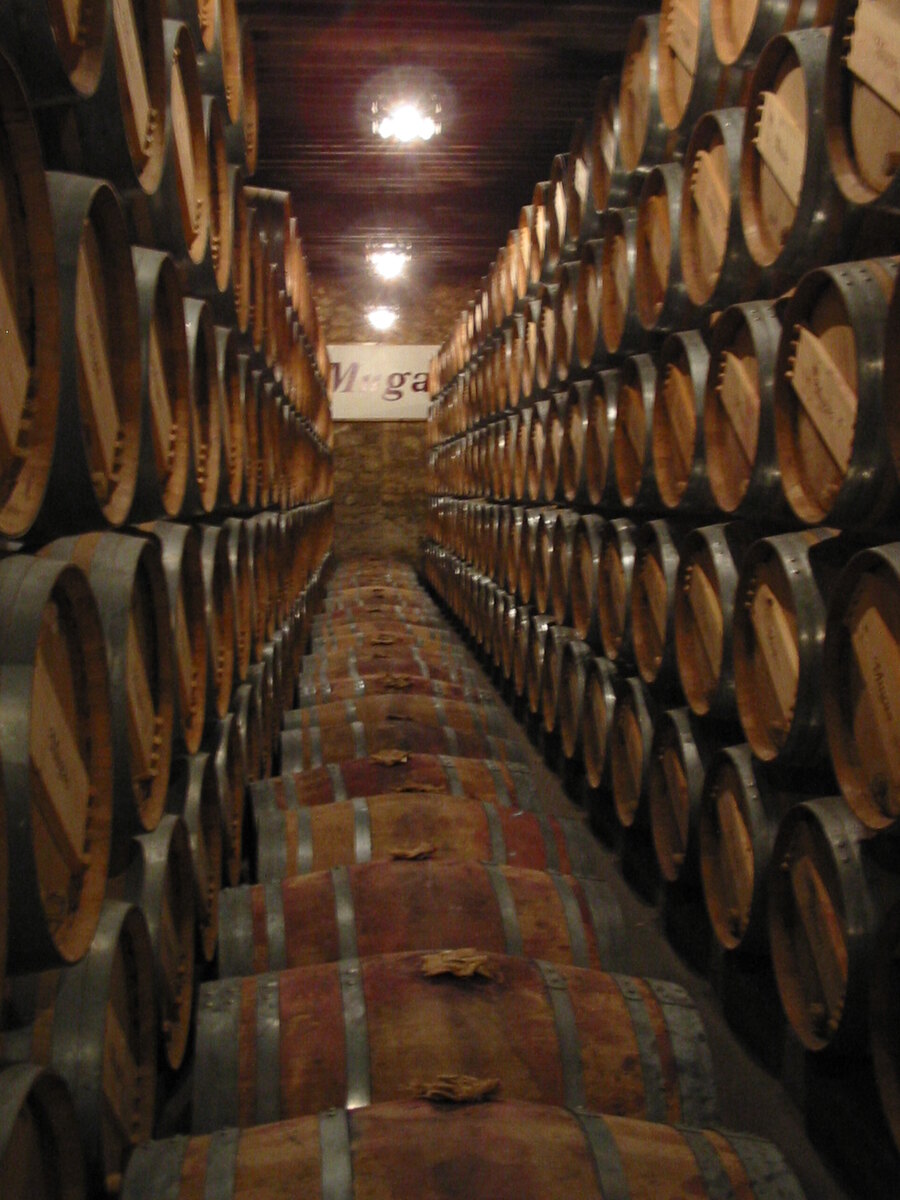 Rioja winery и винные маршруты